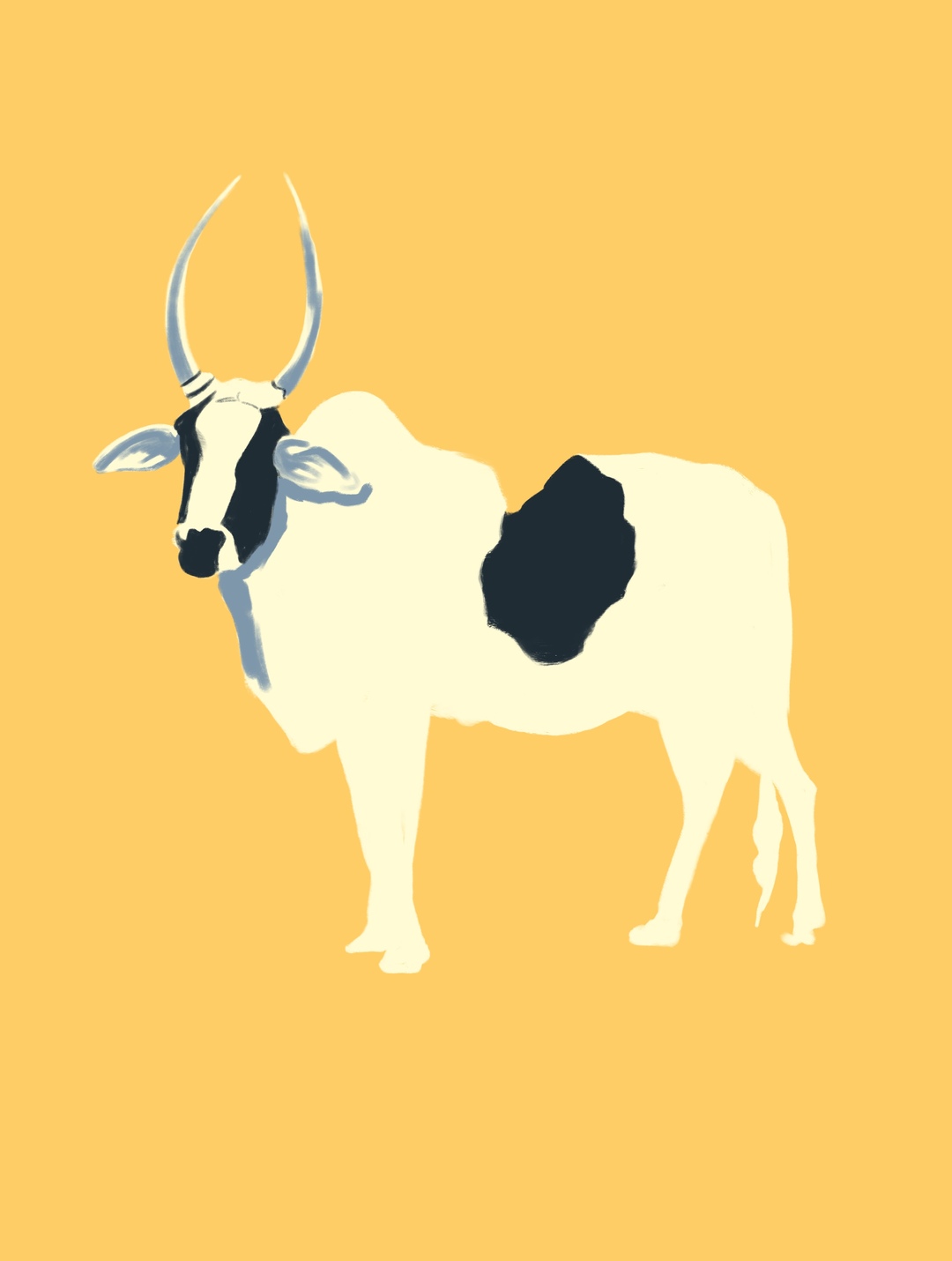 Vaca